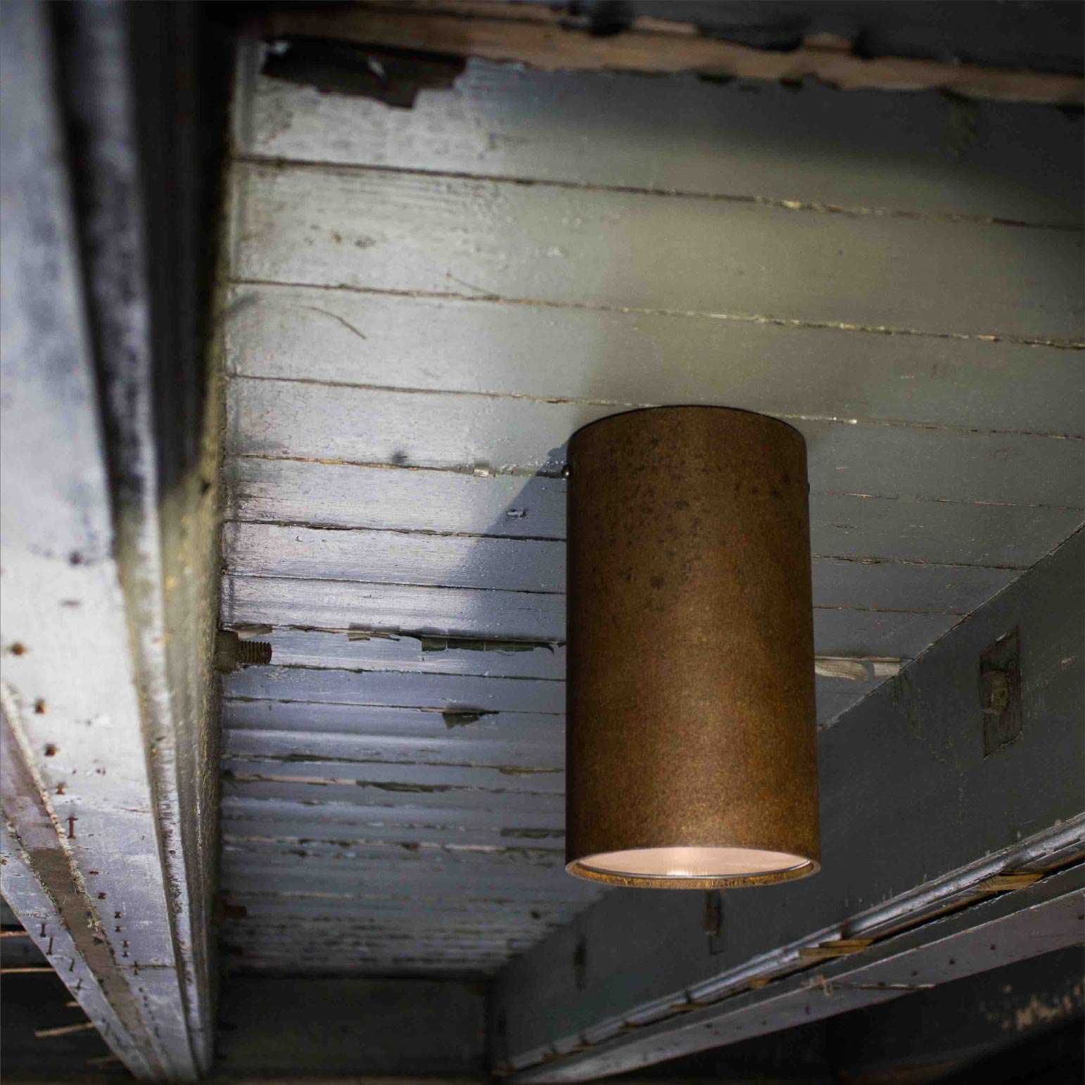 Roest Ceiling