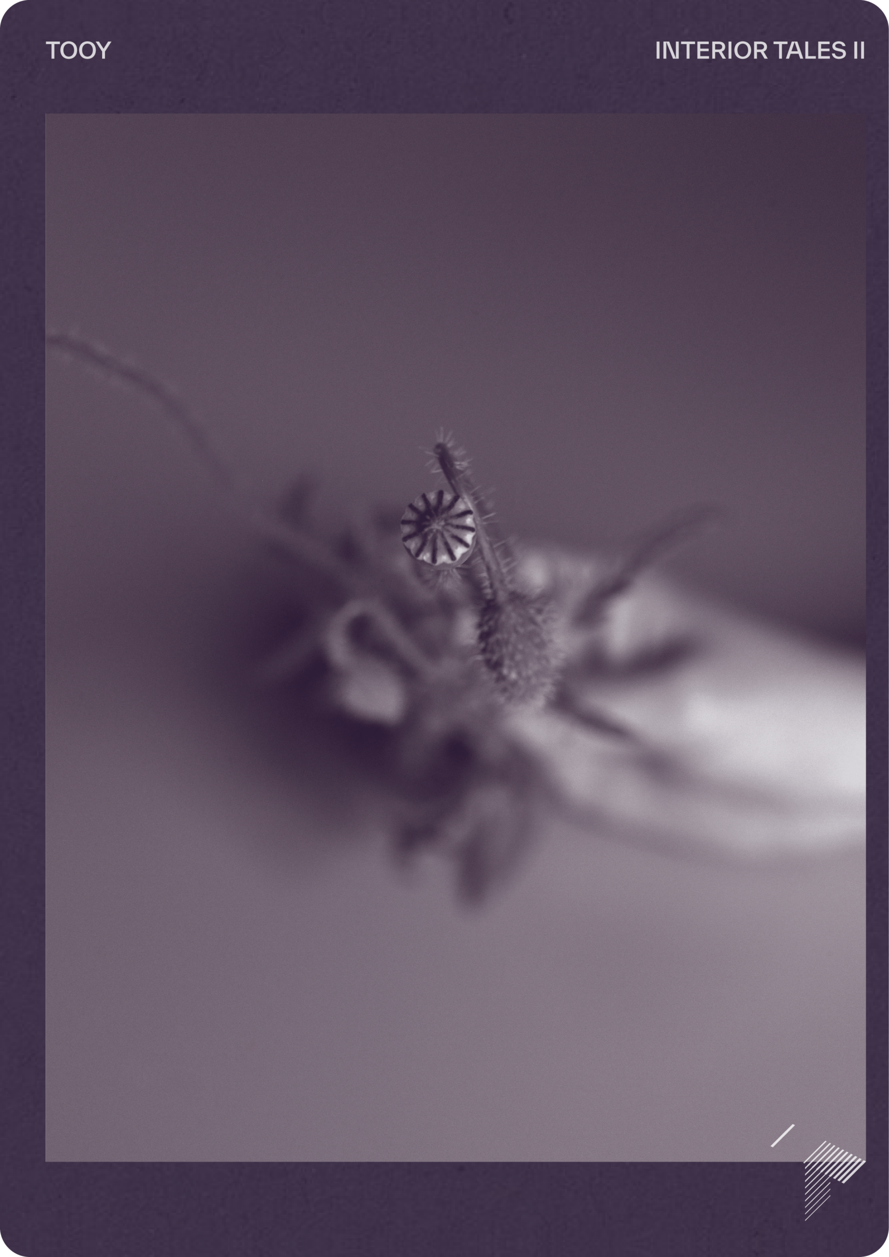 Catalogues - RL Website Downloads CoverPage TOOYInteriorTalesV2 scaled - Radiant Lighting