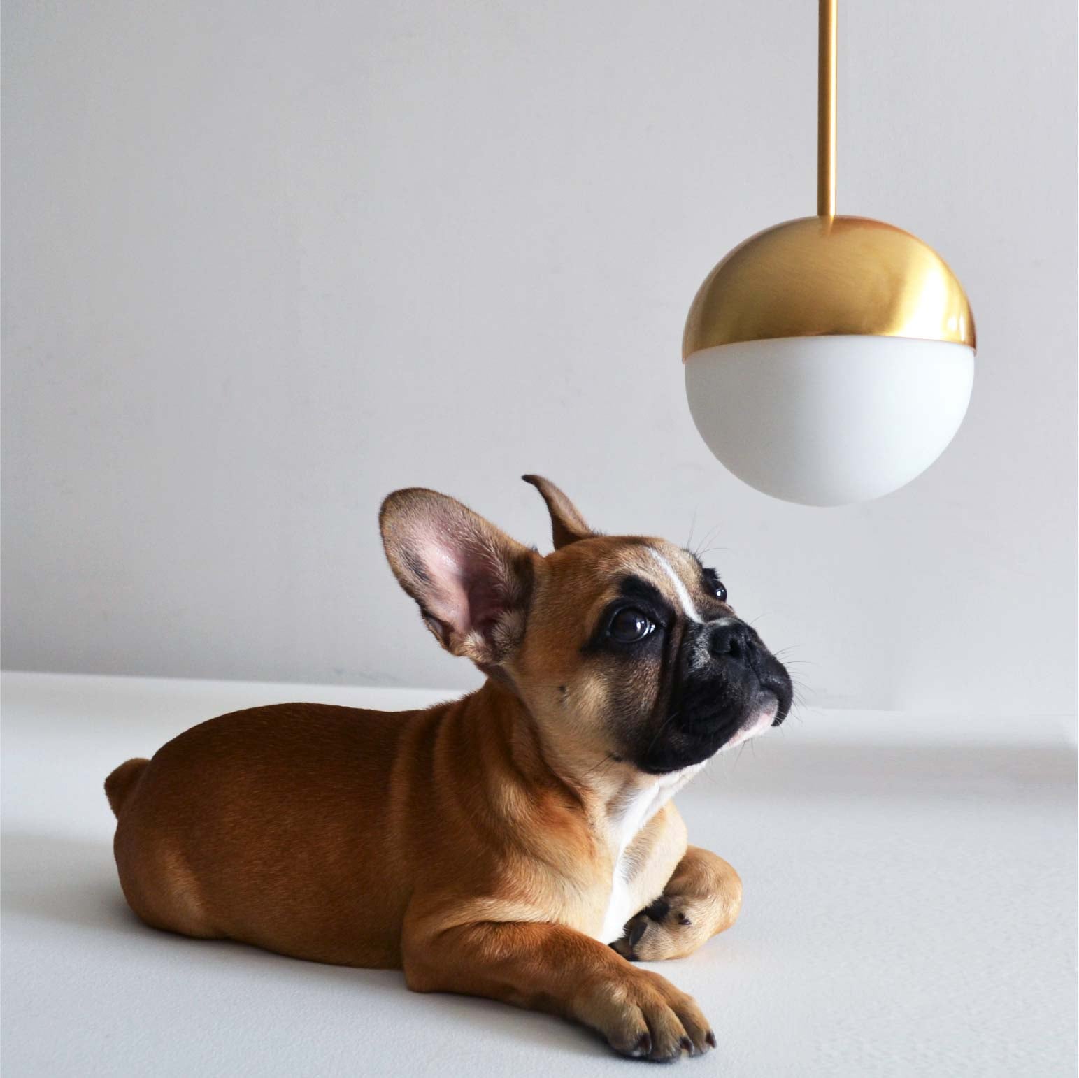 Pallina Suspension